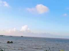 来往船舶-吕四渔港