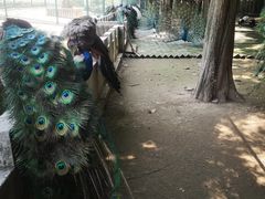 -南京金牛湖风景区