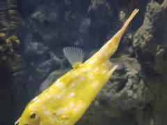 -福州罗源湾海洋世界旅游区
