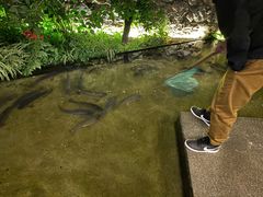 -大理老字号·舟渔的鱼野生菌海景餐厅(双廊店)