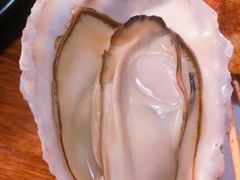 -夏记烤官达人·徐州鲜羊肉串(江宁店)