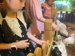 -藦茜花园宠物主题亲子互动体验馆(国顺东路店)