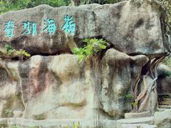 -深圳国际园林花卉博览园