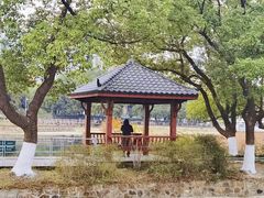 -古琴台