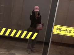 -桃浦新村(地铁站)