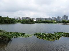 -新江湾城公园