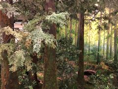 -同里国家湿地公园