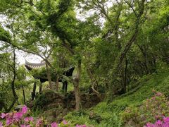 -惠山古镇·寄畅园