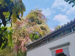 -深圳国际园林花卉博览园