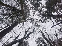 -龙苍沟森林公园