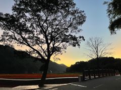 -广州市石门国家森林公园