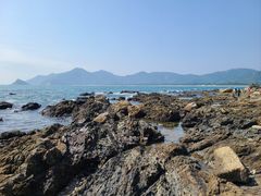 -西涌国际滨海旅游区