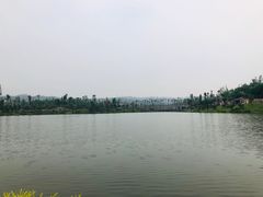 -枫香湖儿童公园