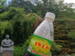 -广州神农草堂中医药博物馆