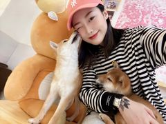 -柴源莊·柴小宠柴犬咖啡