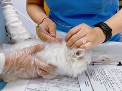 -博特宠物医院24h犬猫全科.骨科·异宠
