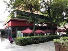 -哈根达斯(武汉天地店)