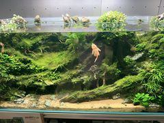 -瑞虹新天地月亮湾