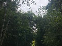 -四门塔风景区