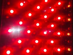 -疯克大象美式烤肉餐厅