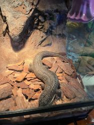 -酷嗒动物文化乐园(cutezoo西溪乐天城店)