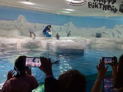 -上海海洋水族馆-停车场