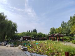 -河北省园博园