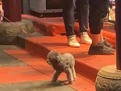 -大召寺明清一条街