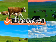 -呼伦贝尔大草原