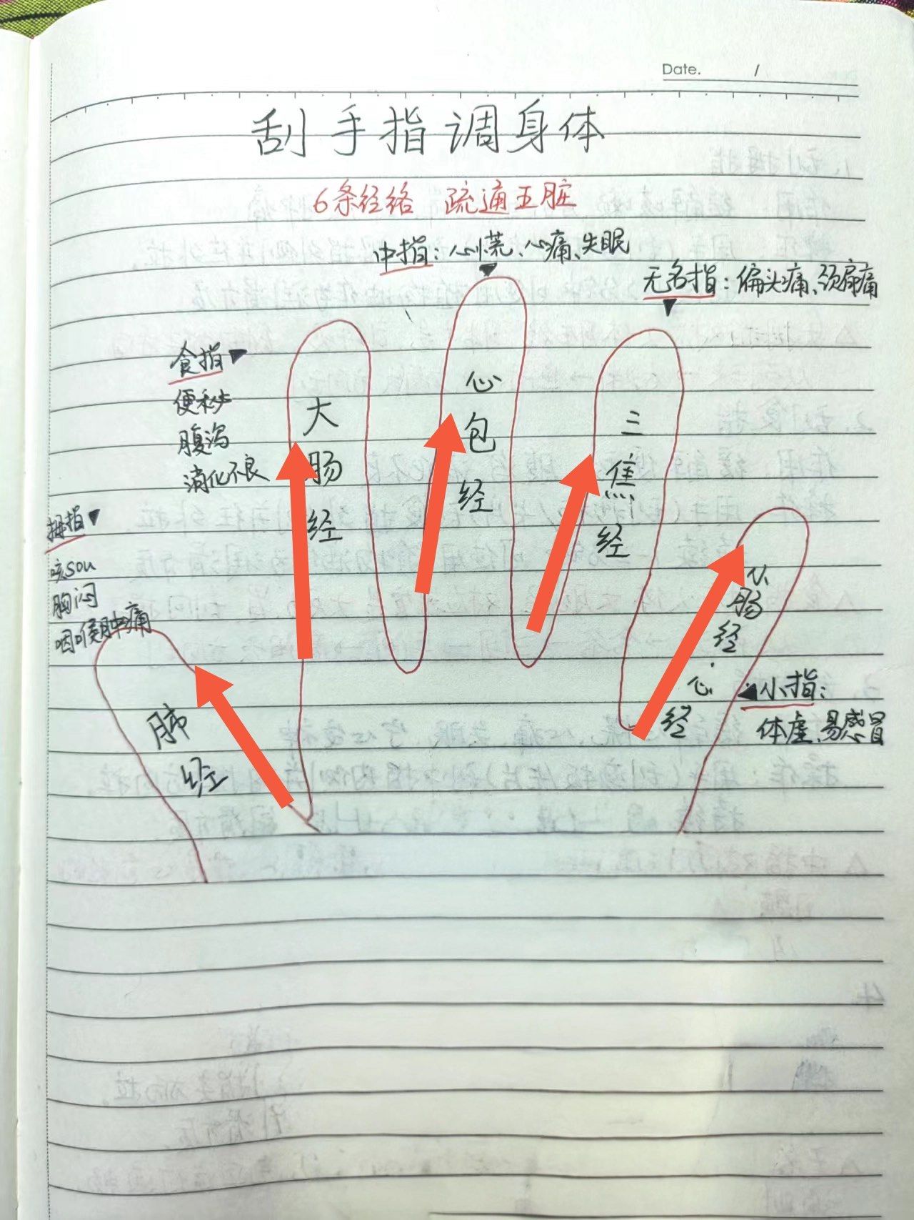 ?‍♀️??‍♀️手指不仅是我们日常劳作的工具?