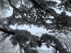 -妙峰山风景名胜区