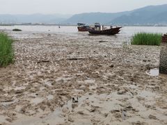 -北岐滩涂
