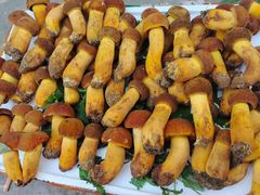 -云南木水花野生菌交易中心