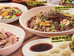 -老碗会·陕西手工面(前海世茂店)