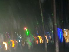 -昆山城市生态森林公园