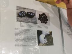 -雨林宠物医院·异宠专科(浦东分院)