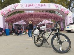 -南汇桃花村