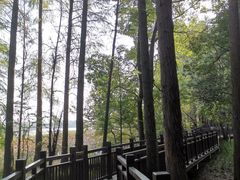 -东湖落雁景区