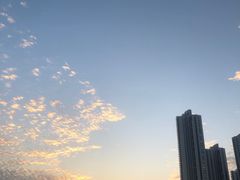 -厦门园林博览苑