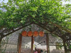 -前小桔亲子创意农场·草莓采摘·露营烧烤