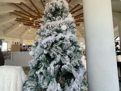 -ChanDu躔度咖啡(灯塔店)