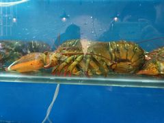 -渔满仓海鲜楼