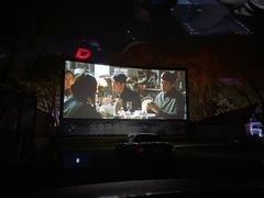 -枫花园汽车电影院(朝阳公园店)