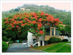 -厦门国家会计学院