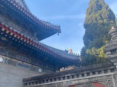 -北京艺术博物馆(万寿寺)