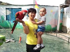 -大连森林动物园