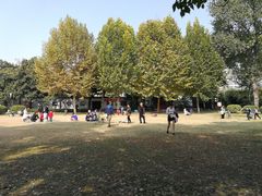 -西苑公园