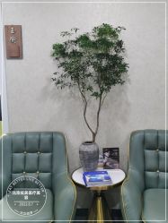 -北京炫美医疗美容