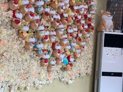 用餐区-柴犬高等学院·狗咖·柴犬售卖·宠物训练