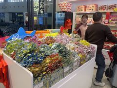 -舜华临武鸭(岳阳东站)